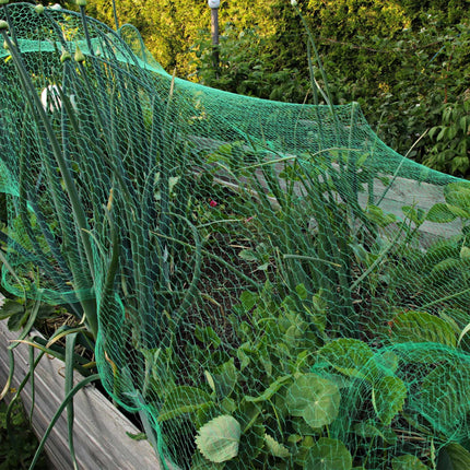 Vogelnetz mit dichtem Netz 3er-Set
