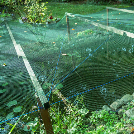 Vogelnetz mit dichtem Netz 3er-Set