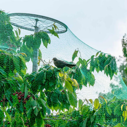 Dense mesh bird net set of 3