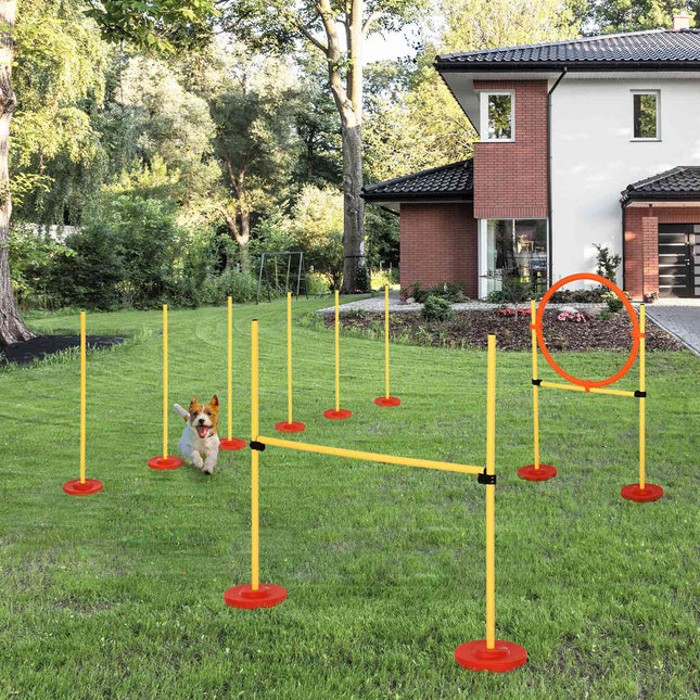 Agility sada překážek pro psy, trénink 3 v 1, přenosná, žlutá