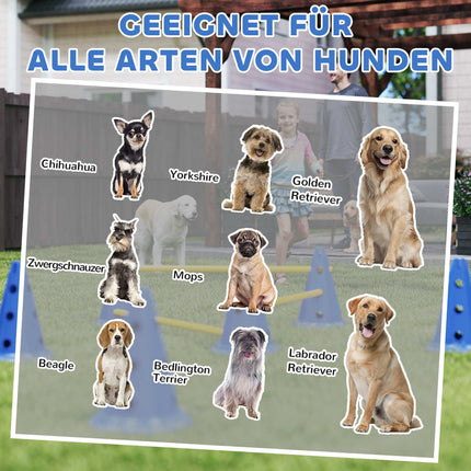 Agility sada pro psy – 3dílná tréninková sada se 6 kužely, 3 překážky