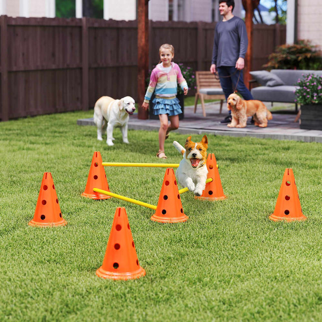 Dog Agility Set – 3-Piece Training Kit with 6 Cones, Bag