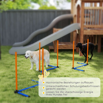 Dog Agility Set, Portable with Adjustable Slalom Poles