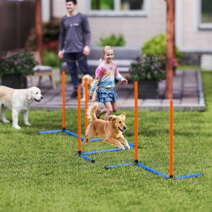 Dog Agility Set, Portable with Adjustable Slalom Poles