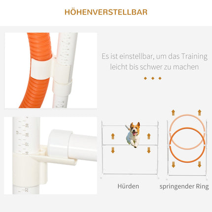 Hund Agility-Set mit verstellbaren Hindernissen und Tunnel