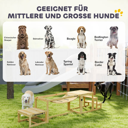 Dog Agility Set for Large Dogs - Gran Wood, Set of 4