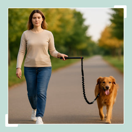 Fahrradleine für Hunde mit Abstandhalter – flexibel, einfache Anbringung