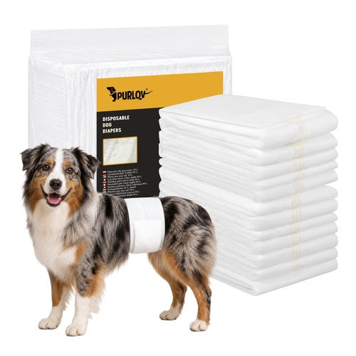 Hundewindeln, absorbierend, Größe ML, 12 Stück, 46-60 cm
