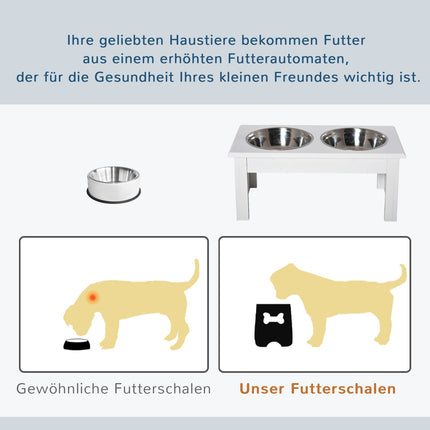 Dog Feeding Station with Stainless Steel Bowls, Elevated