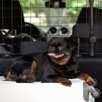 Hundegitter fürs Auto – Verstellbare Haustierbarriere