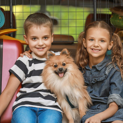 Hundegitter fürs Auto – Verstellbare Haustierbarriere