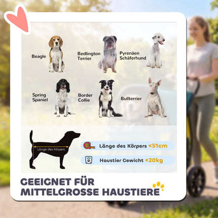 Hunde-Buggy mit Geländerädern, faltbar, 20 kg Traglast