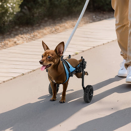 Dog Wheelchair for Hind Legs, Adjustable 2-Wheel, 10kg