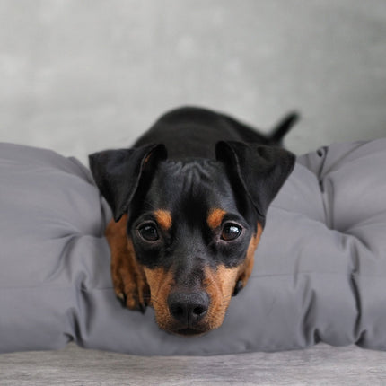 Panier pour chien gris