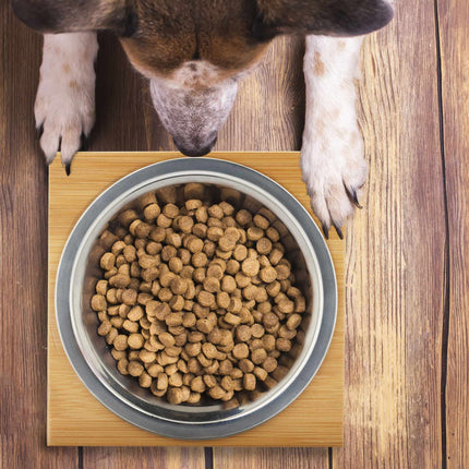 Gamelle pour chien 400 ml