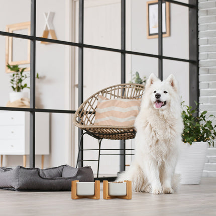 Hundenapf 2er Set