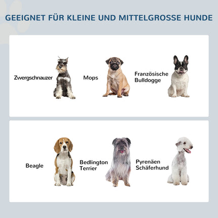 Erhöhte Haustiernäpfe, Edelstahl, leicht zu reinigen, 2 l Fassungsvermögen