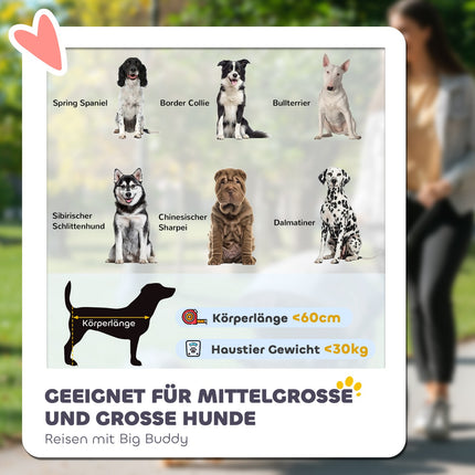 Faltbarer Hunde-Kinderwagen mit verstellbarem Kissen, Stahlrahmen