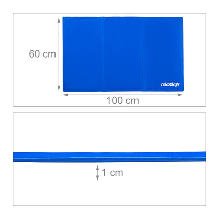 Dog mat blue