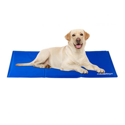 Dog mat blue