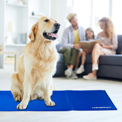 Dog mat blue
