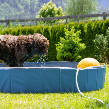 Dog pool 160x30 cm