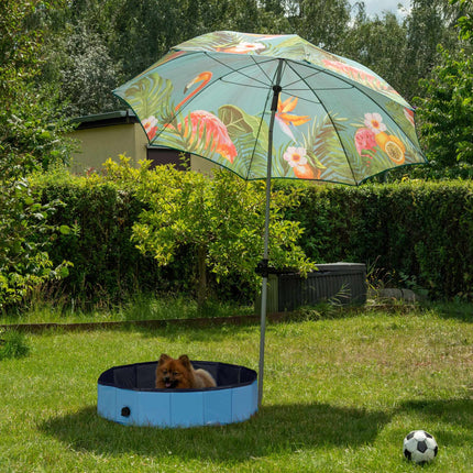 Dog pool 80x20 cm