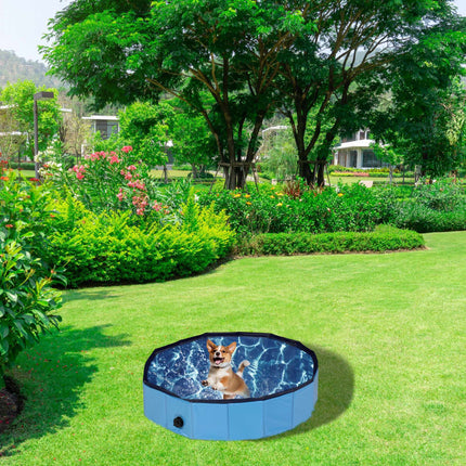 Dog pool 80x20 cm