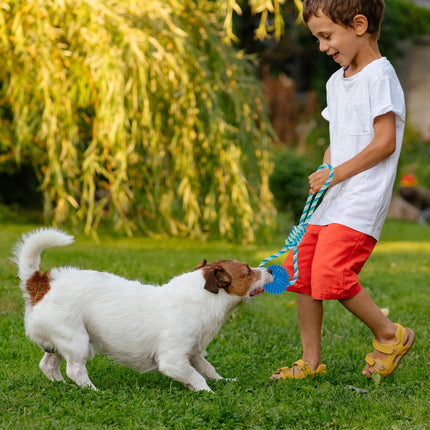 Dog toy ball with rope set of 3