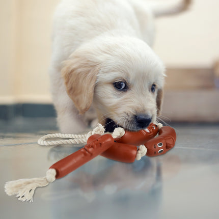 Dog toy sausage chain set of 4
