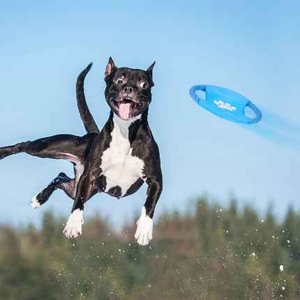 Hundespielzeug-Set 10-teilig