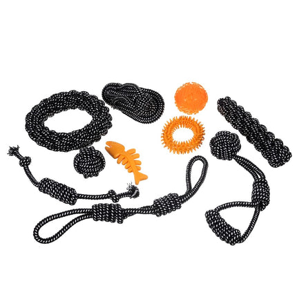 Ensemble de jouets pour chien - 10 pièces Purlov 24388