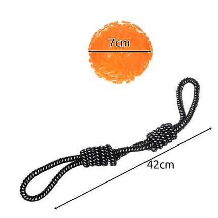 Ensemble de jouets pour chien - 10 pièces Purlov 24388