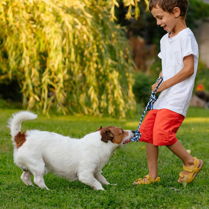 Ensemble de jouets pour chien en 4 parties