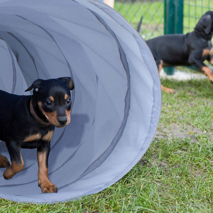 Hundetunnel Agility 2m