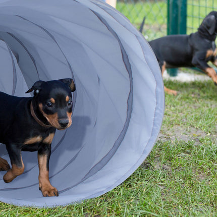 Hundetunnel Agility 3m