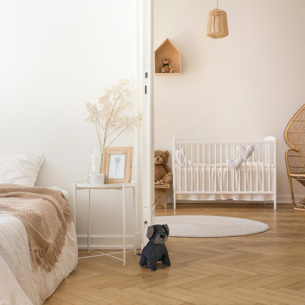 Chien qui bloque la porte