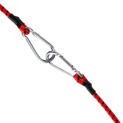 Elastic band set of 3 with carabiner