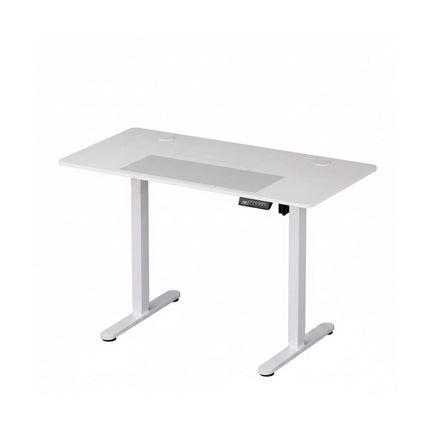 Electric Standing Desk, Wood-Effect Top, Memory Presets