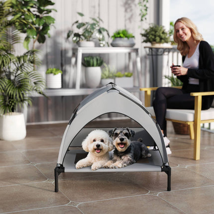 Elevated Dog Bed with Canopy, Breathable Mesh, Portable