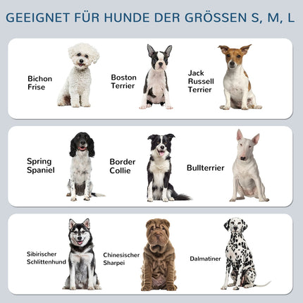Verstellbarer erhöhter Hundenapf mit Edelstahlständer