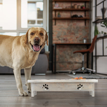Elevated Dog Feeder with Bone-Shaped Stand, Stainless Steel Bowls