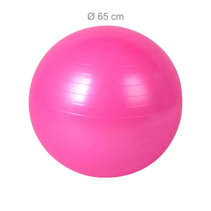 Exercise Ball 65 cm with Stand, Resistance Bands and Pump, Pink