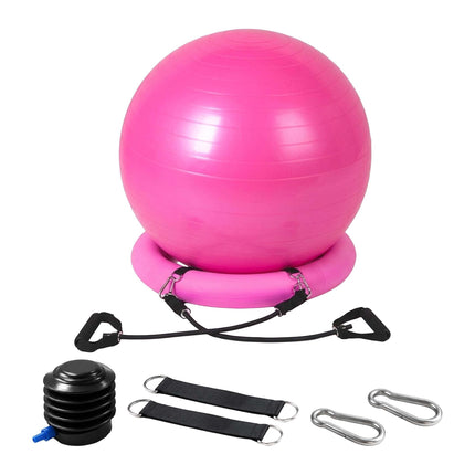 Exercise Ball 65 cm with Stand, Resistance Bands and Pump, Pink