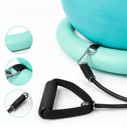 Exercise Ball 65 cm with Stand, Resistance Bands and Pump, Turquoise