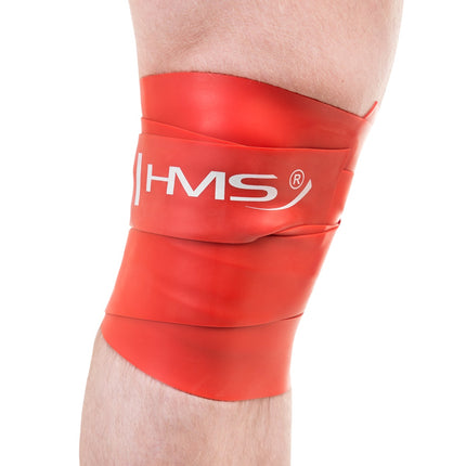 Exercise Rubber Band, Red, High-Resistance