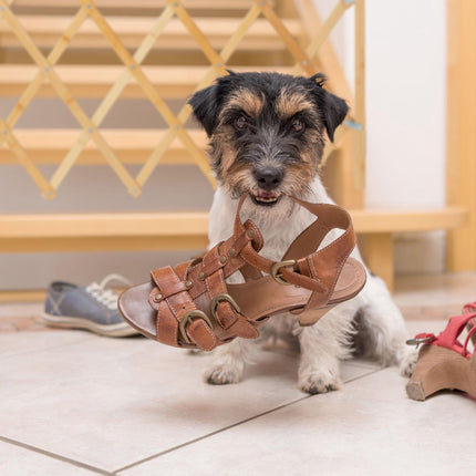 Erweiterbare Hundebarriere aus Bambus