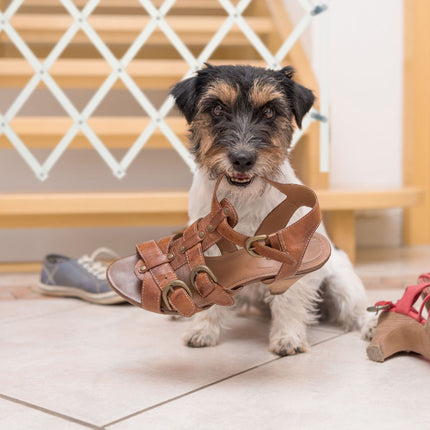 Ausziehbares Hundegitter in Weiß