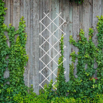 Extendable Plant Trellis Set, 180x60 cm, 3 Pack