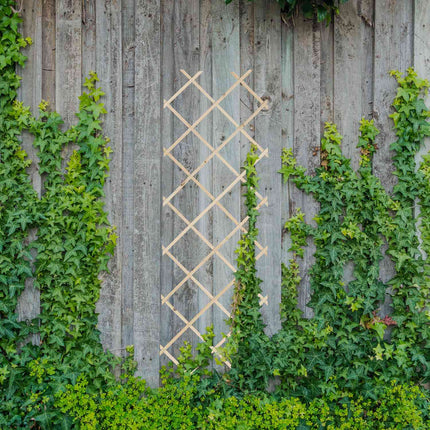 Ausziehbares Rankgitter-Set, 180x60 cm, 3er-Pack